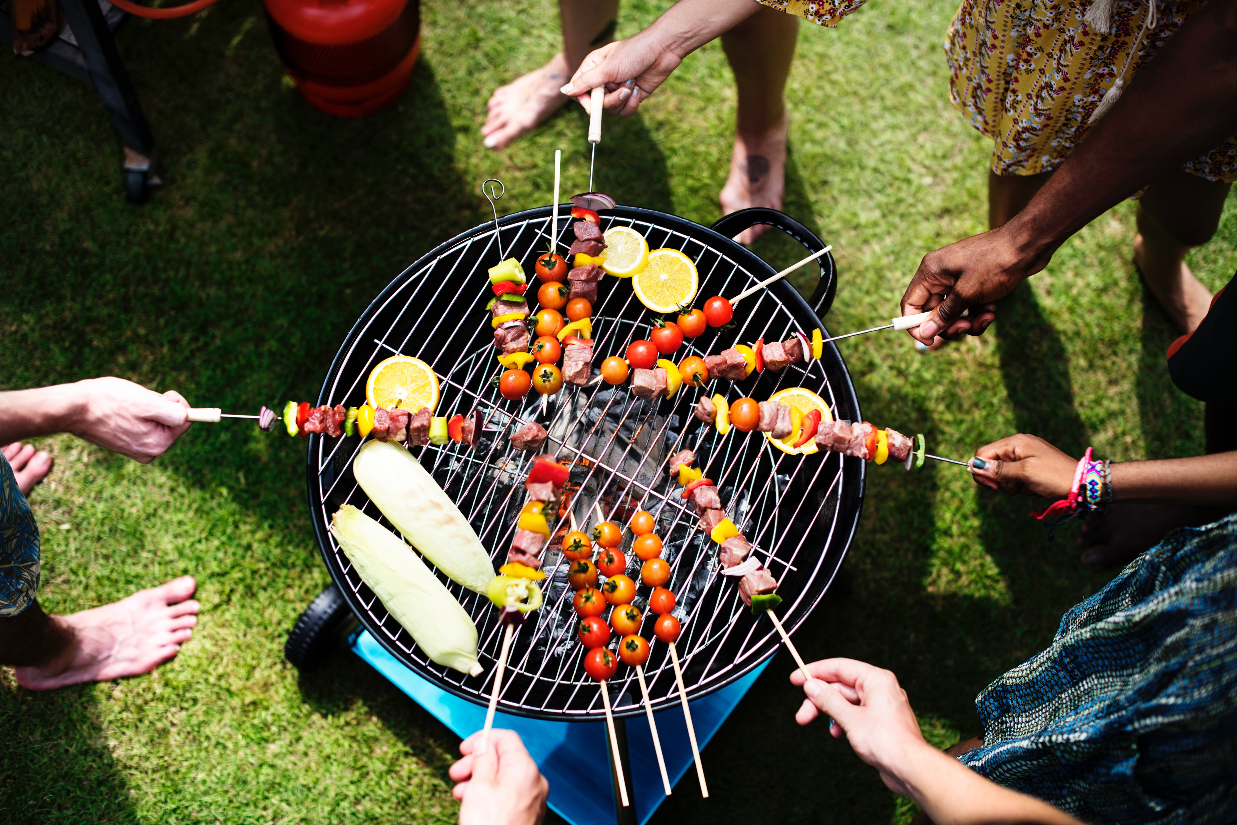 Host a Shine For ShelterBox BBQ this Christmas